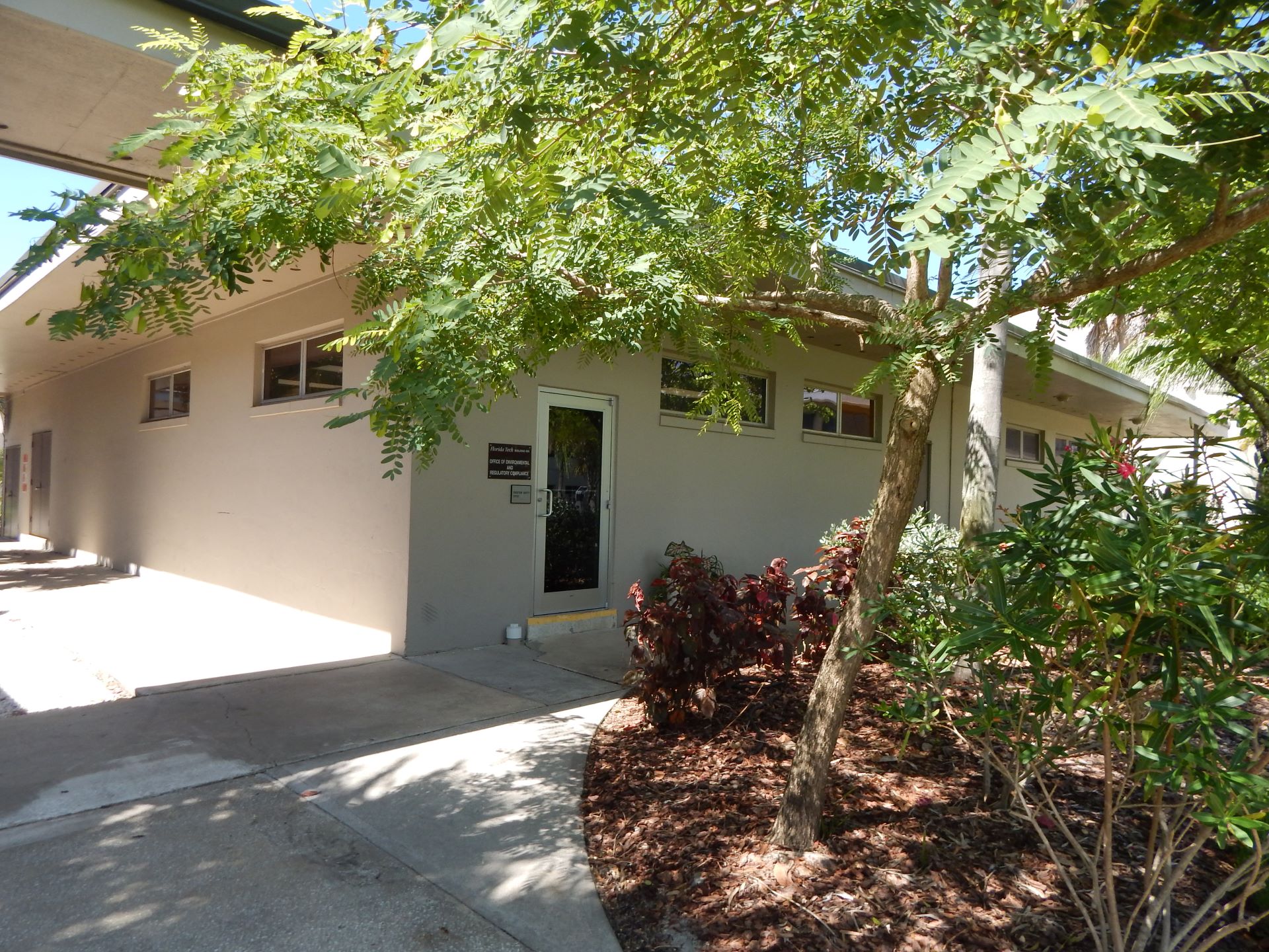 Shaded walkway alongside a building, flanked by lush greenery and trees on a sunny day